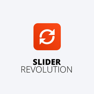 Revolution Slider or Vertical Slider.